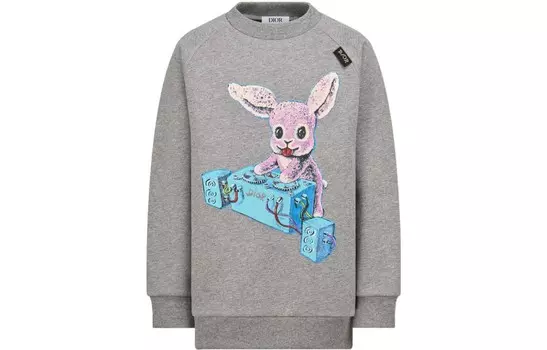 Толстовка детская Dior, серый