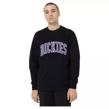 Толстовка Dickies Aitkin, черный