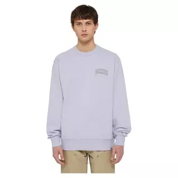 Толстовка Dickies Aitkin Chest, фиолетовый