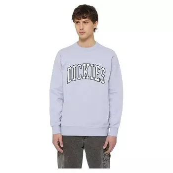 Толстовка Dickies Aitkin, серый