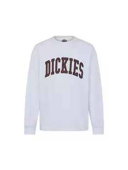 Толстовка Dickies AITKIN TEE LS, белый