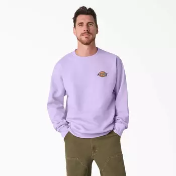 Толстовка Dickies из флиса с вышитым логотипом на груди, цвет Purple Rose (Ur2)