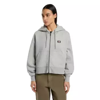 Толстовка Dickies Oakport full zip, серый