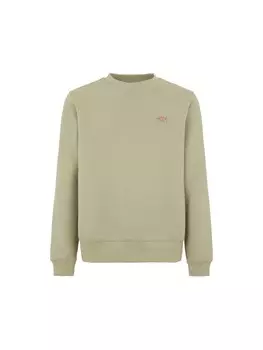 Толстовка DICKIES OAKPORT, натуральный белый