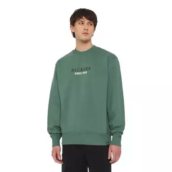 Толстовка Dickies Park, зеленый
