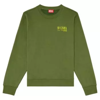Толстовка Diesel Ginn K42, зеленый
