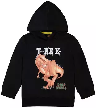 Толстовка Dino World, черный