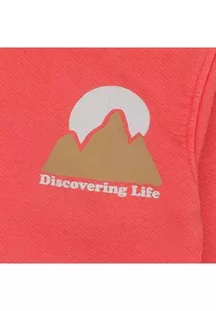 Толстовка DISCOVERING LIFE Daily7, красный