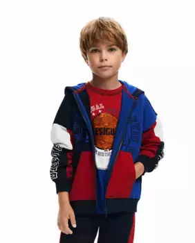 Толстовка для баскетбольного мальчика Desigual, мультиколор