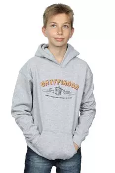 Толстовка для квиддича команды Гриффиндора Harry Potter, серый