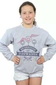 Толстовка для квиддича в Хогвартсе Harry Potter, серый