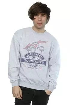 Толстовка для квиддича в Хогвартсе Harry Potter, серый