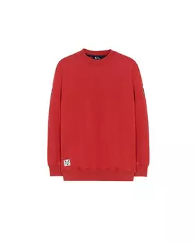 Толстовка для мальчика elPulpo, красный