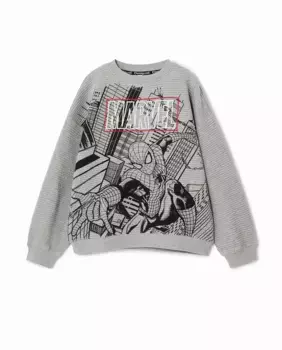 Толстовка для мальчика Marvel Desigual, серый