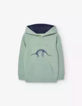 Толстовка для мальчика с капюшоном и карманом-кенгуру Losan, светло-зеленый