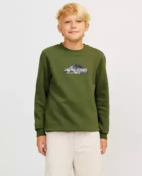 Толстовка для мальчика с круглым вырезом Jack & Jones, цвет Verde Militar