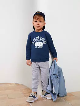 Толстовка для мальчика с круглым вырезом и длинными рукавами с принтом, 2 шт.