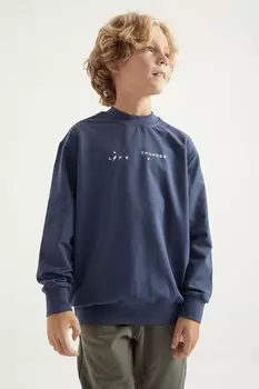 Толстовка для мальчика с круглым вырезом и масляным принтом на спине TOMMYLIFE