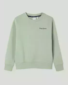 Толстовка для мальчика с принтом «бульдог» Pepe Jeans, светло-зеленый