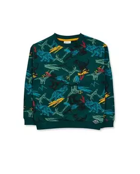 Толстовка для мальчика с принтом и круглым вырезом Tuc tuc, зеленый