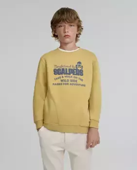 Толстовка для мальчика с принтом на круглой горловине спереди Scalpers, желтый