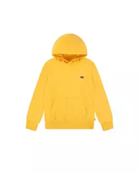 Толстовка для мальчиков Levi's Mini Batwing, жёлтый