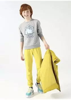 Толстовка для мальчиков пушистого цвета с круглым вырезом оверсайз серого меланжа FFY-10 Boyner, серый