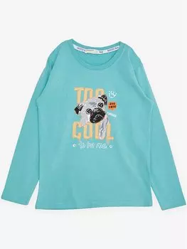 Толстовка для мальчиков с круглым вырезом и длинными рукавами с принтом Breeze, мятно-зеленый