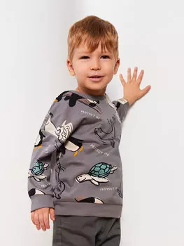 Толстовка для маленьких мальчиков с круглым вырезом и длинными рукавами с принтом LCW baby, серый с принтом