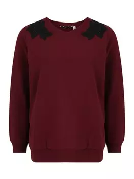 Толстовка Dorothy Perkins, бордовый