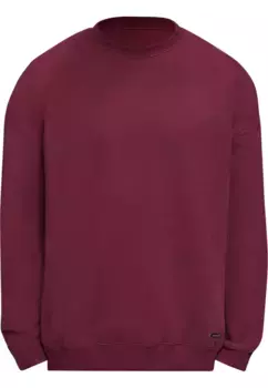 Толстовка Dropsize " Dropsize мужчины", цвет Burgundy