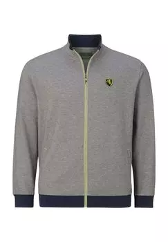 Толстовка DUKE QUINNS Charles Colby, цвет Hellgrau