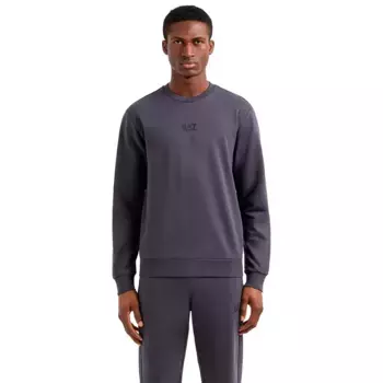 Толстовка EA7 EMPORIO ARMANI 8NPM30_PJVRZ, серый
