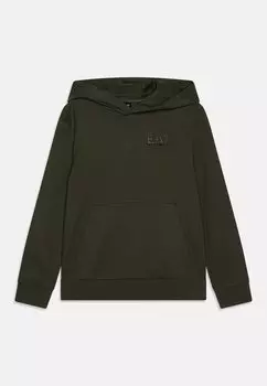 Толстовка EA7 Emporio Armani, цвет beetle