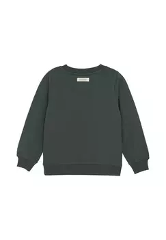 Толстовка EN FANT, цвет Evergreen