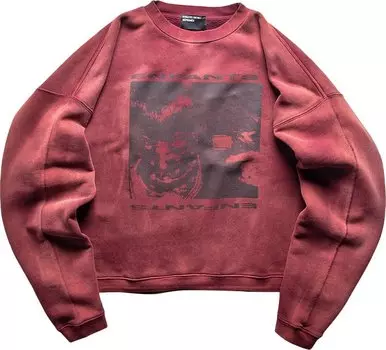 Толстовка Enfants Riches Dprims Girl/Gun Crewneck 'Faded Red/Black', красный