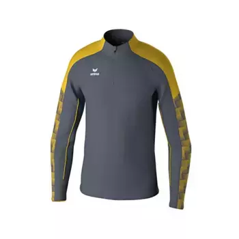 Толстовка Erima Evo Star Training half zip, серый