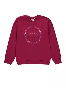 Толстовка ESPRIT, цвет Pflaume