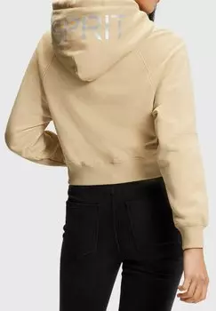 Толстовка Esprit ДЕЛЬФИН, песочный