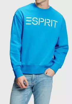 Толстовка Esprit Logo, голубой