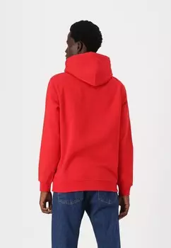 Толстовка ESSENTIAL FLAG HOOD Tommy Jeans, красный