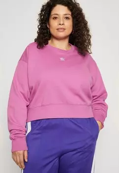 Толстовка ESSENTIALS CREW adidas Originals, цвет semi pulse lilac
