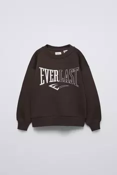 Толстовка everlast worldwide inc. ZARA, коричневый