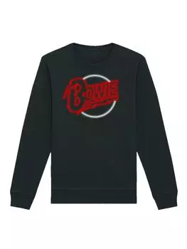 Толстовка F4NT4STIC, черный