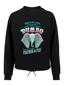 Толстовка F4NT4STIC, черный