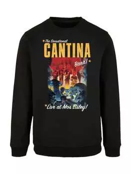 Толстовка F4NT4STIC, черный