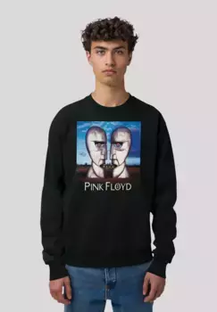 Толстовка F4NT4STIC "Pink Floyd The Division Bell", премиум качество, черный