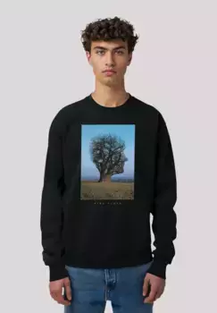 Толстовка F4NT4STIC "Pink Floyd Tree Head", премиум качество, черный