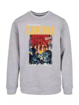 Толстовка F4NT4STIC, пятнистый серый