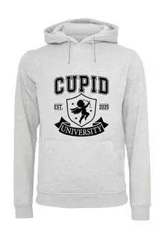 Толстовка F4NT4STIC, серый